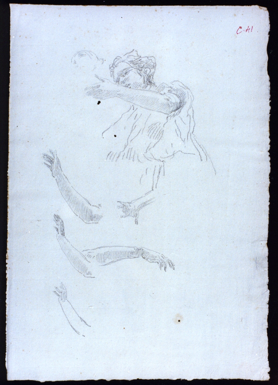 studio di figura e di braccia (disegno) di Vetri Paolo (secc. XIX/ XX)