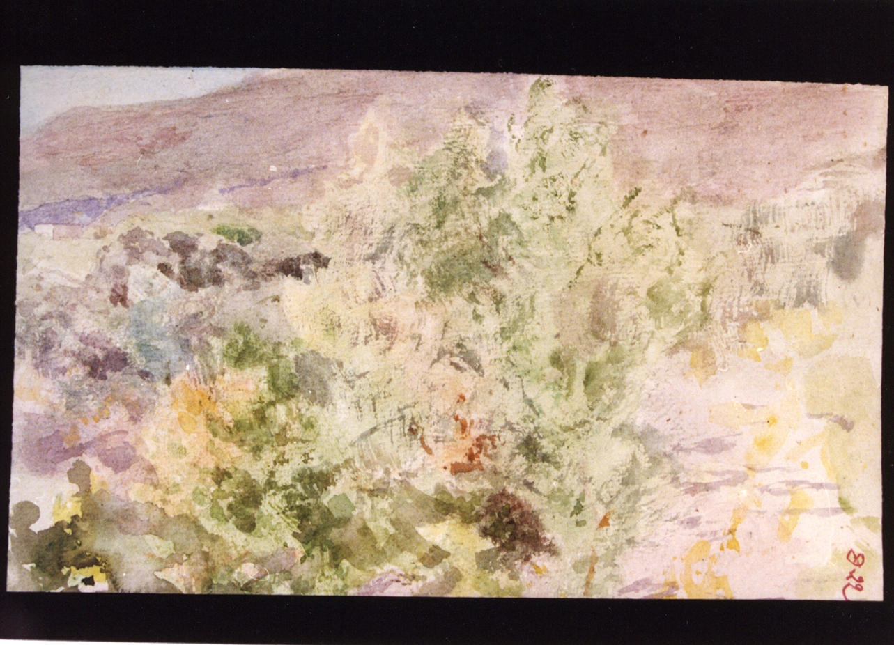 paesaggio (disegno) di Vetri Paolo (secc. XIX/ XX)