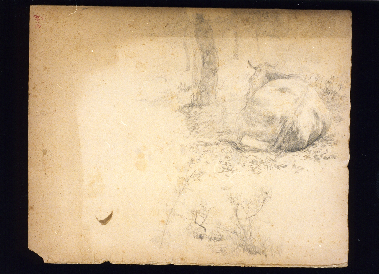 paesaggio con animali (disegno) di Vetri Paolo (secc. XIX/ XX)