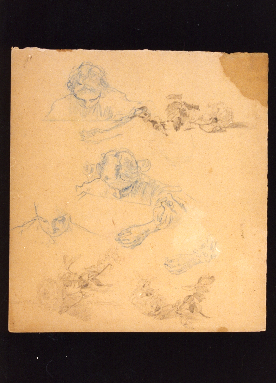 studio di figure femminili (disegno) di Vetri Paolo (secc. XIX/ XX)