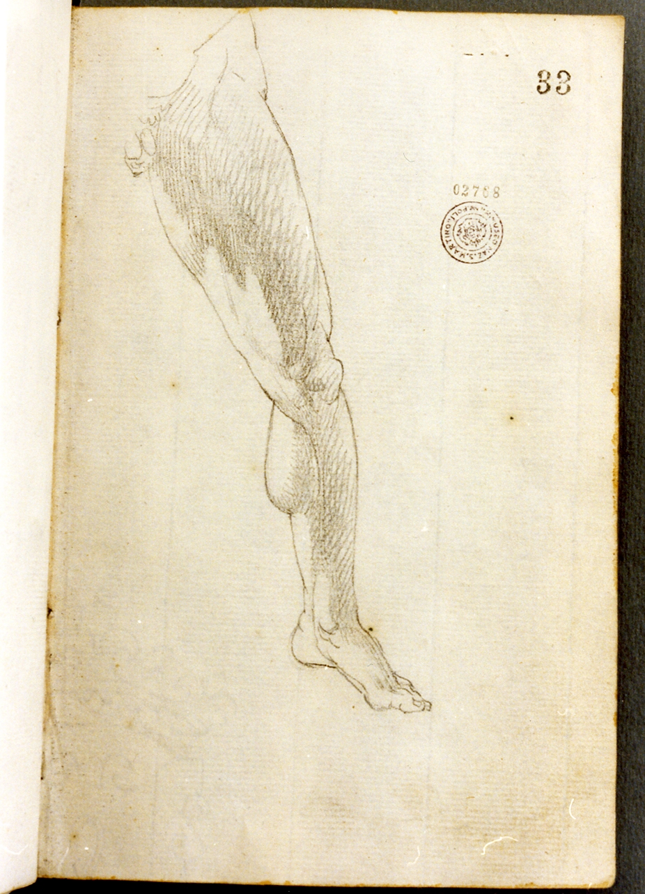 studio di gamba (disegno) di Cammarano Giuseppe (secc. XVIII/ XIX)