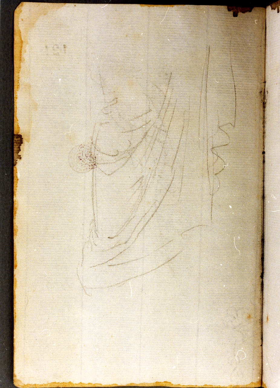 studio di panneggio (disegno) di Cammarano Giuseppe (secc. XVIII/ XIX)