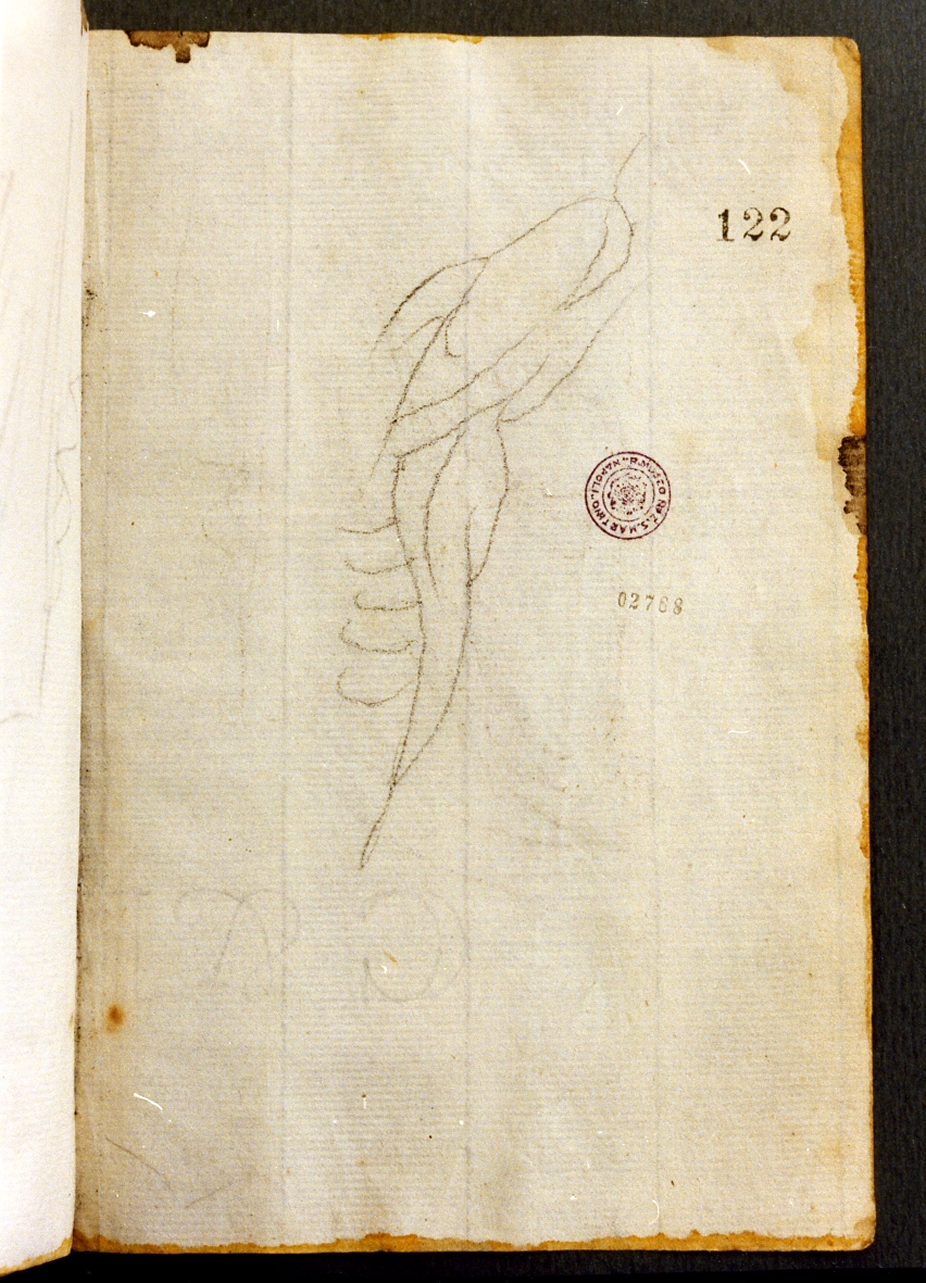 motivi decorativi (disegno) di Cammarano Giuseppe (secc. XVIII/ XIX)