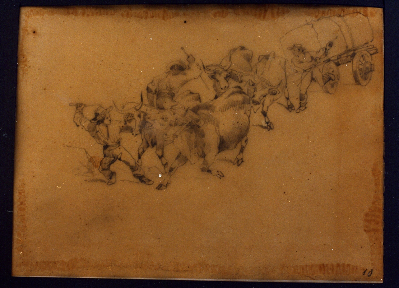 paesaggio con animali (disegno) di Carelli Consalvo (sec. XIX)