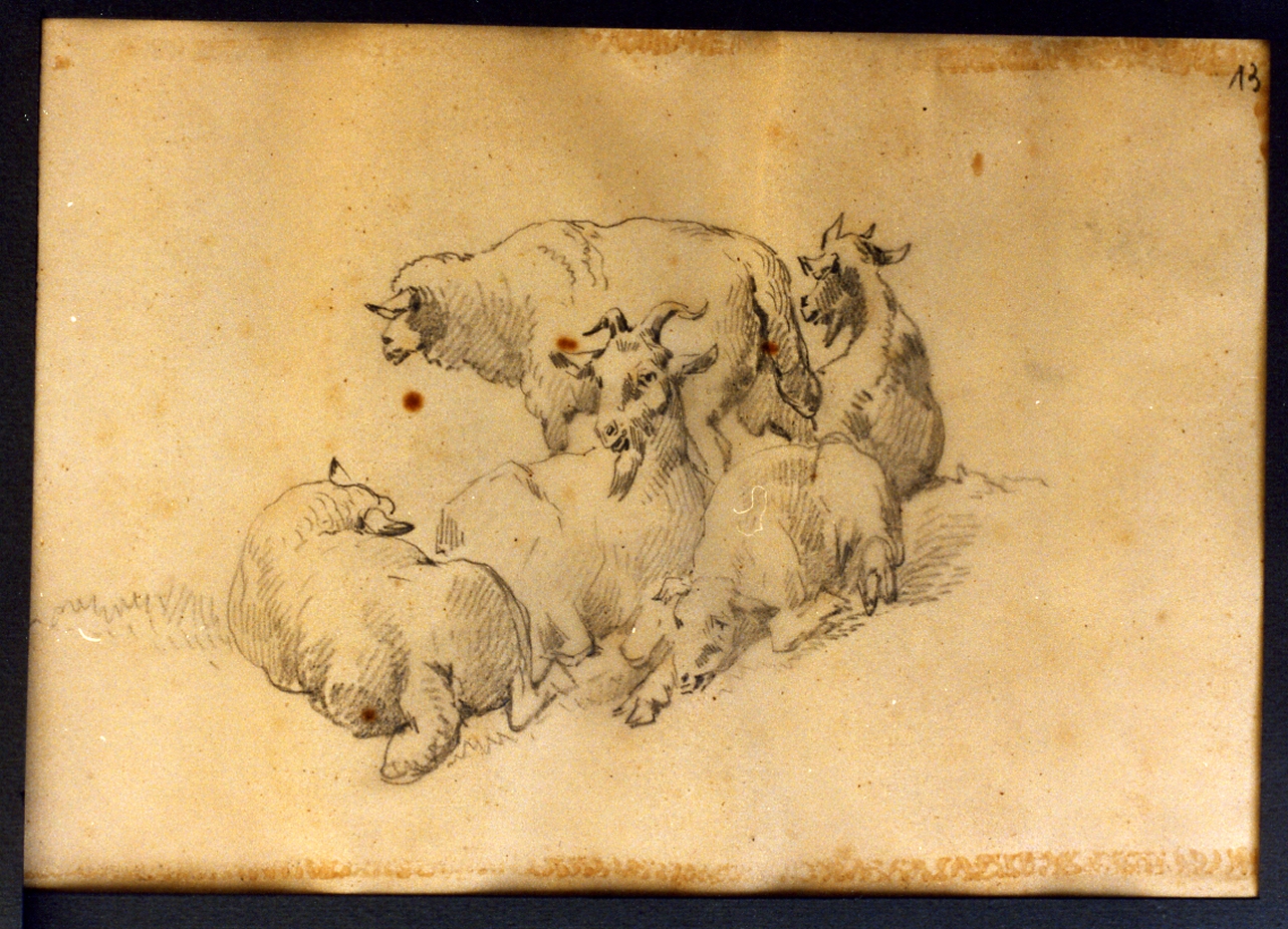 animali (disegno) di Carelli Consalvo (sec. XIX)