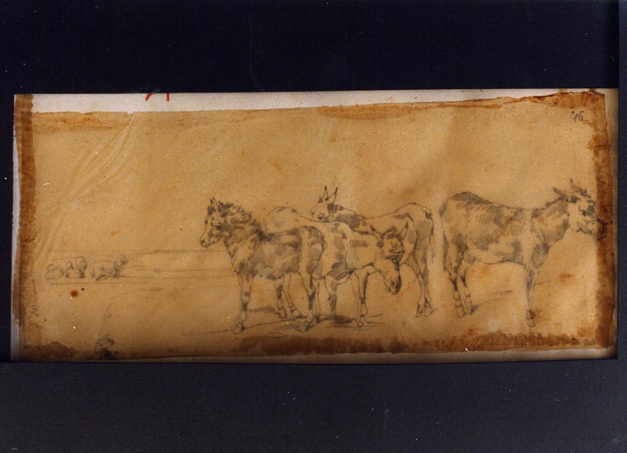 animali (disegno) di Carelli Consalvo (sec. XIX)