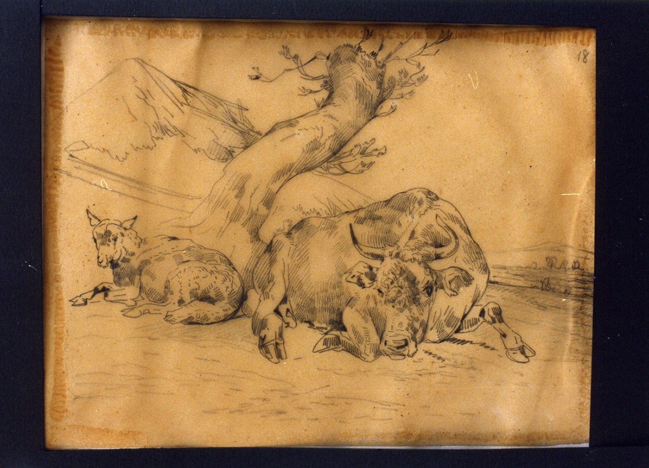 paesaggio con animali (disegno) di Carelli Consalvo (sec. XIX)