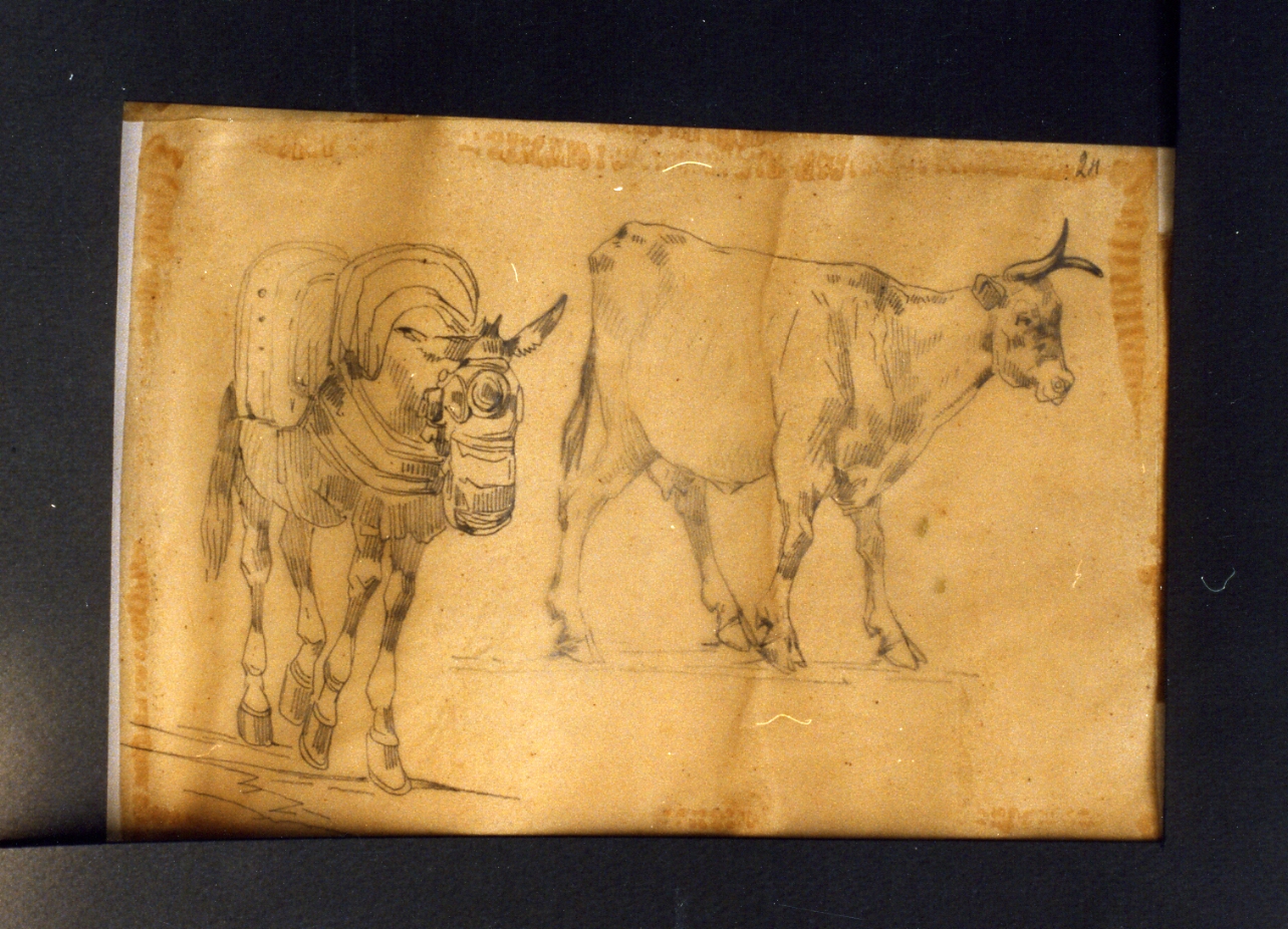 animali (disegno) di Carelli Consalvo (sec. XIX)