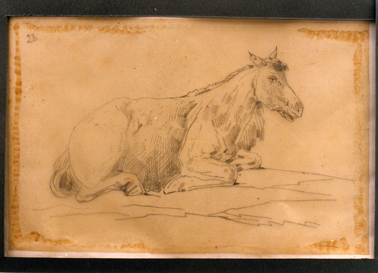 cavallo (disegno) di Carelli Consalvo (sec. XIX)