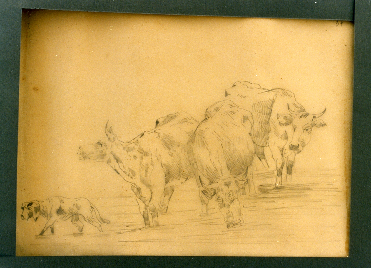 paesaggio con animali (disegno) di Carelli Consalvo (sec. XIX)