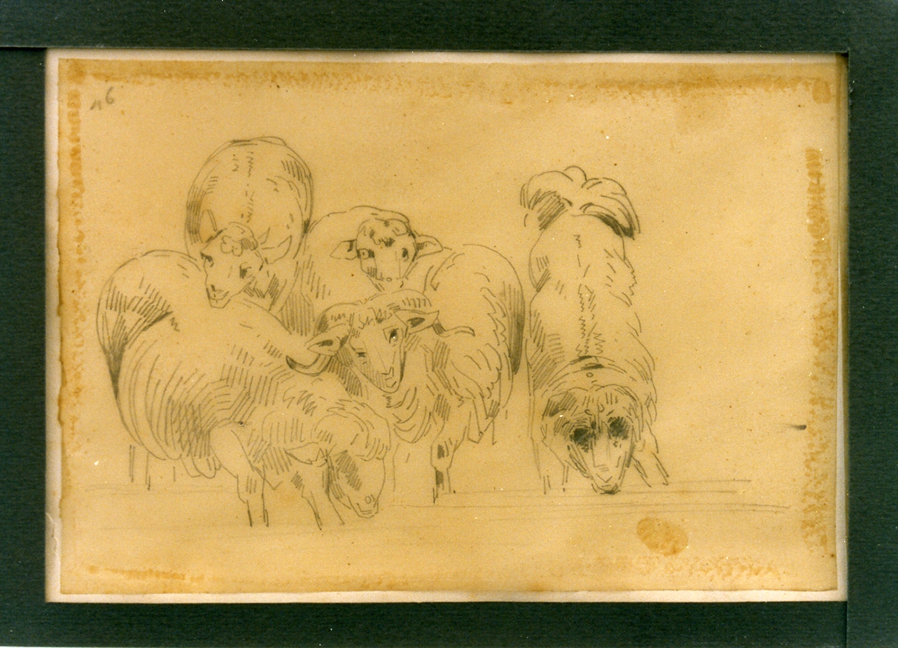 animali (disegno) di Carelli Consalvo (sec. XIX)