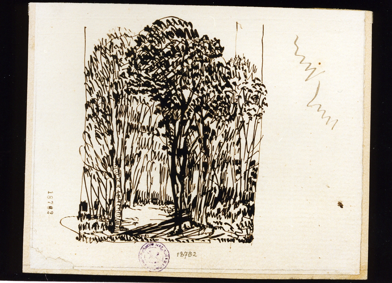 studio di alberi (disegno) di Carrillo Achille (sec. XIX)