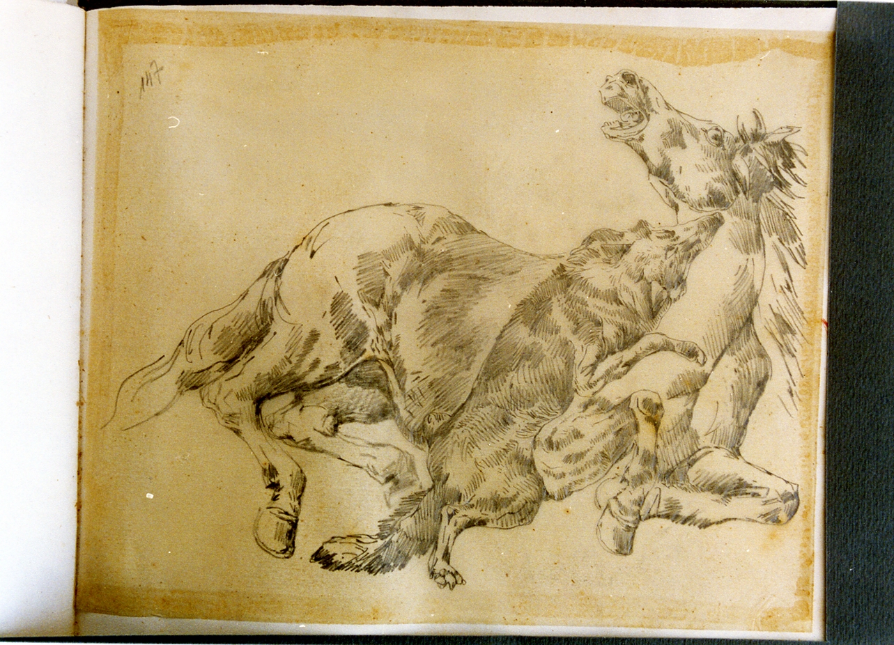 studio di cavallo morso da un cane (disegno) di Carelli Consalvo (sec. XIX)