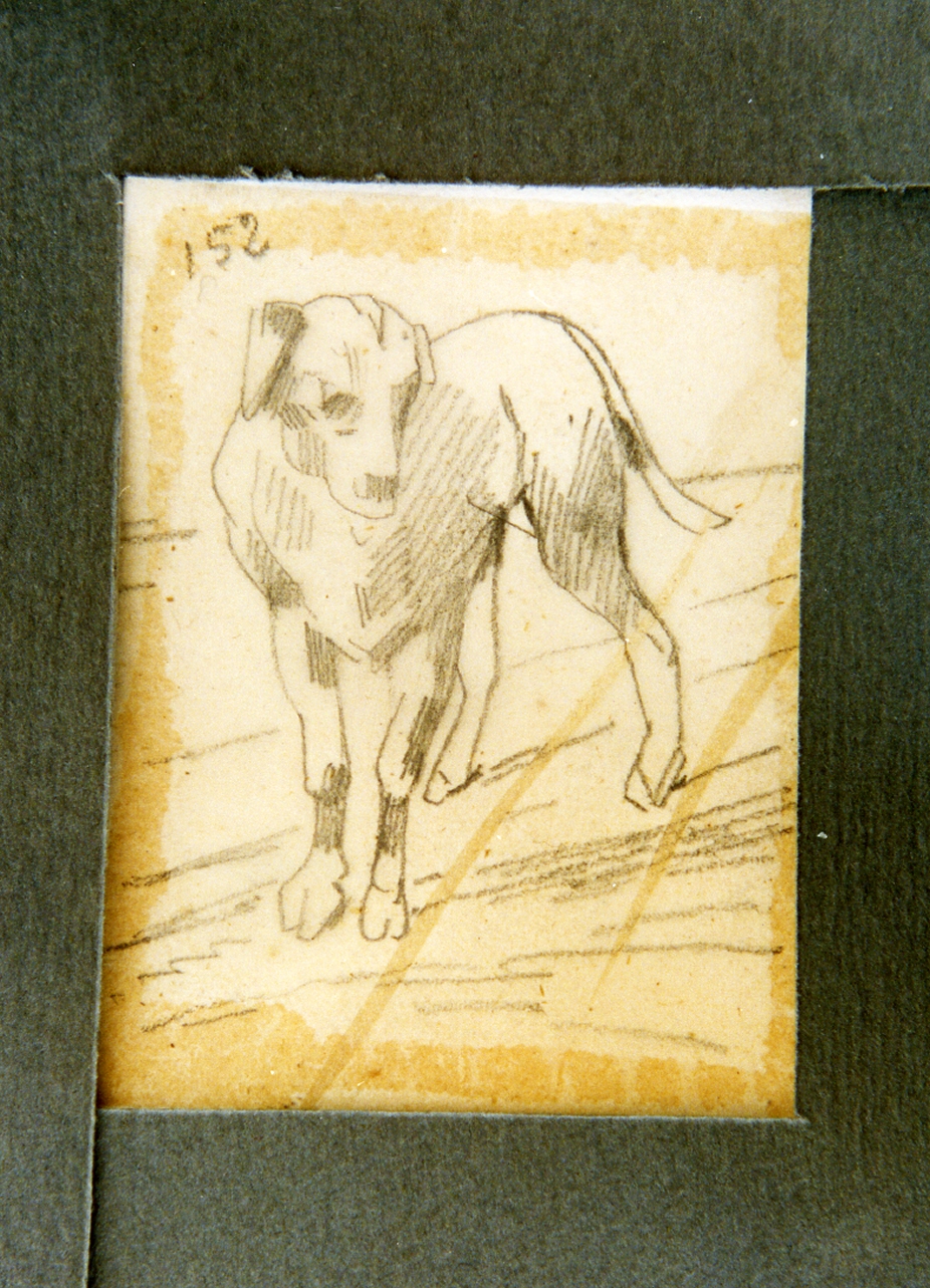 studio di cane (disegno) di Carelli Consalvo (sec. XIX)