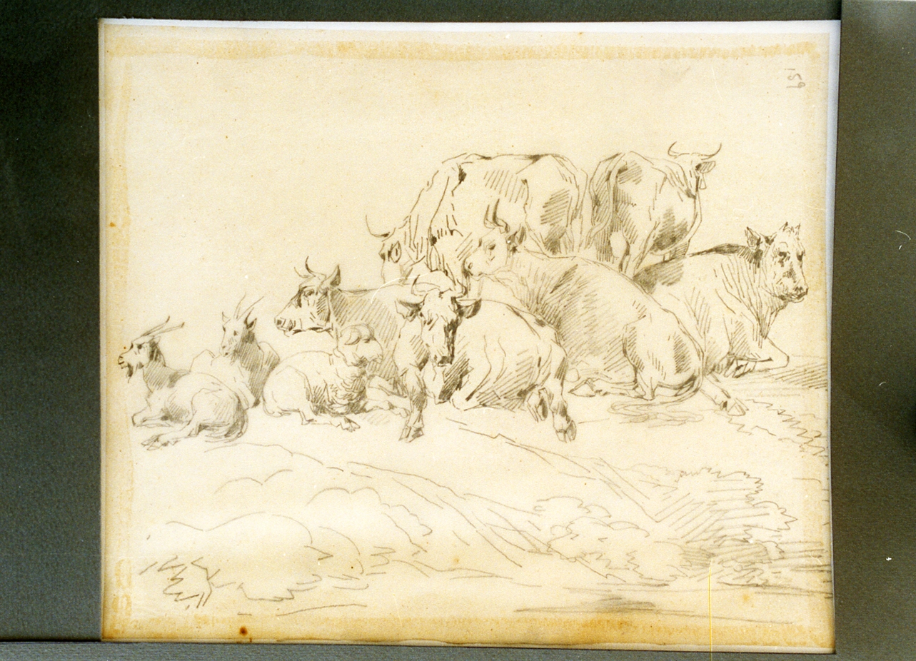 studio di animali in riposo (disegno) di Carelli Consalvo (sec. XIX)