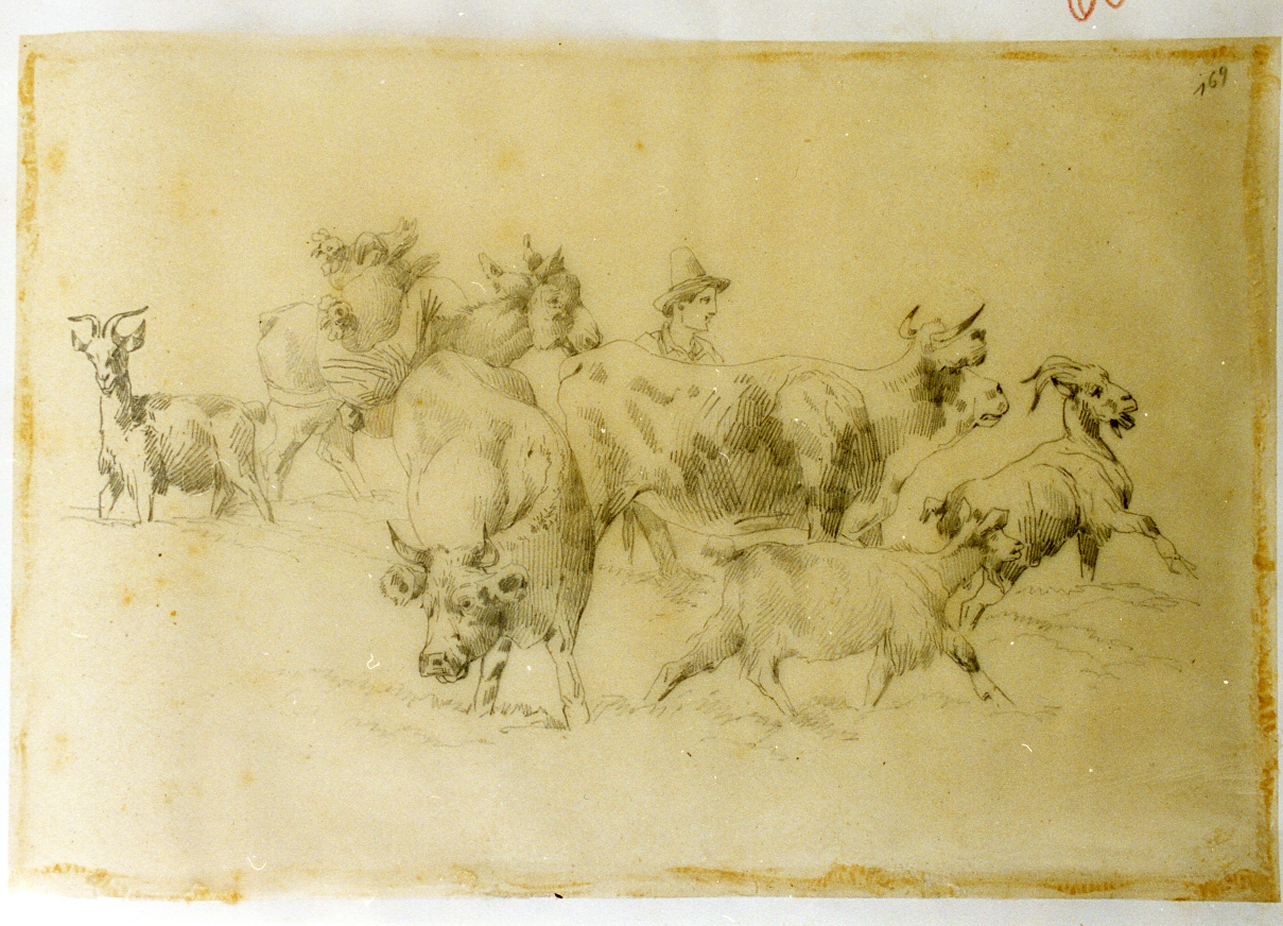 studio di pastorello con gregge di animali (disegno) di Carelli Consalvo (sec. XIX)