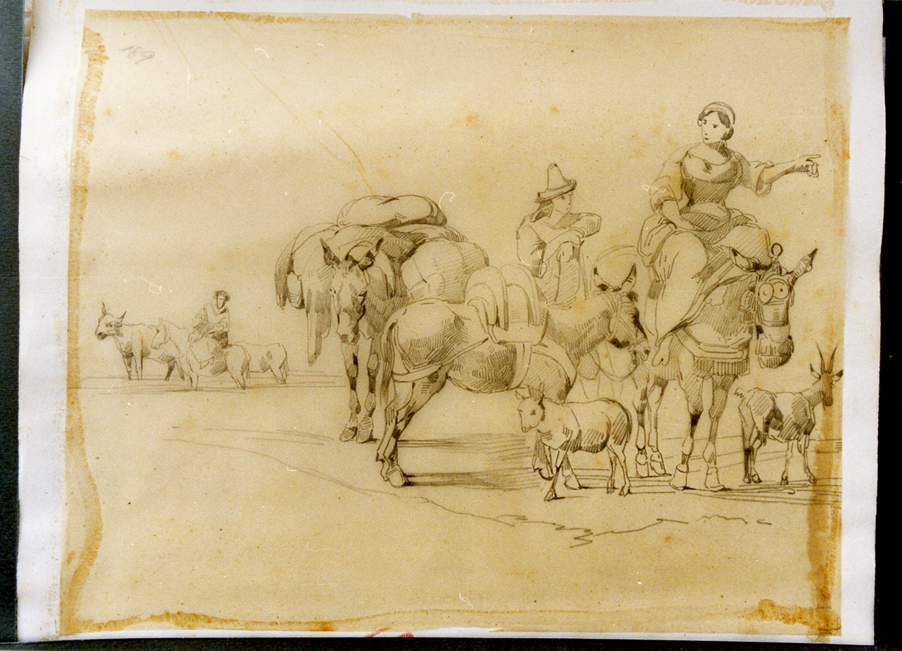 studio di pastori con asini e pecore (disegno) di Carelli Consalvo (sec. XIX)