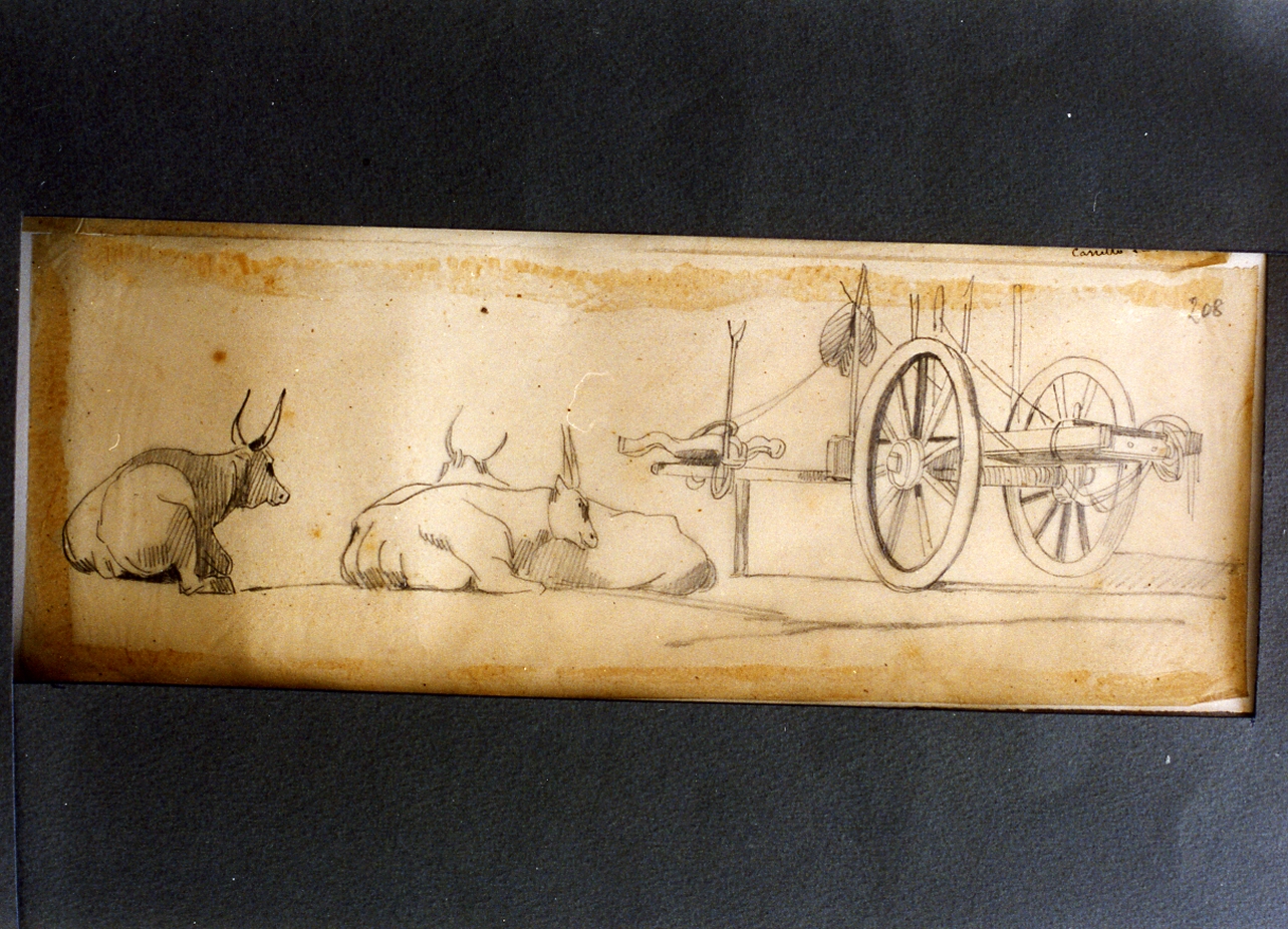 studio di carretto con buoi in riposo (disegno) di Carelli Consalvo (sec. XIX)