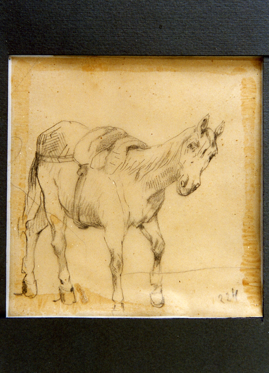 studio di cavallo (disegno) di Carelli Consalvo (sec. XIX)
