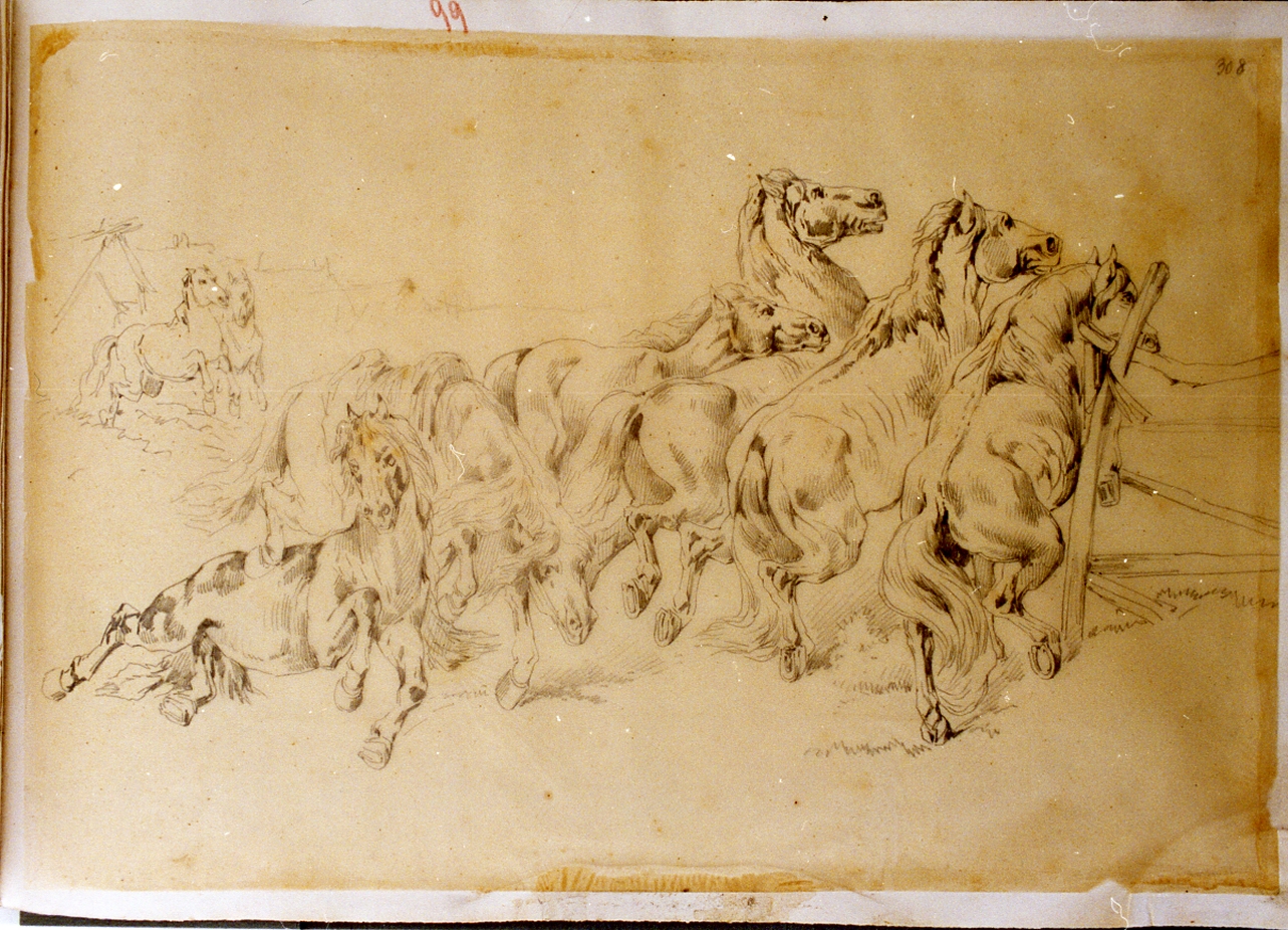 studio di un gruppo di cavalli (disegno) di Carelli Consalvo (sec. XIX)