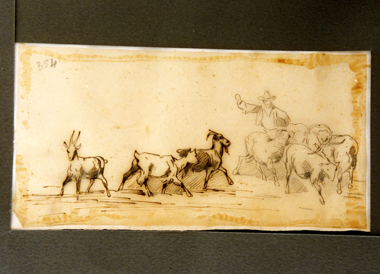 studio di pastore con gregge (disegno) di Carelli Consalvo (sec. XIX)