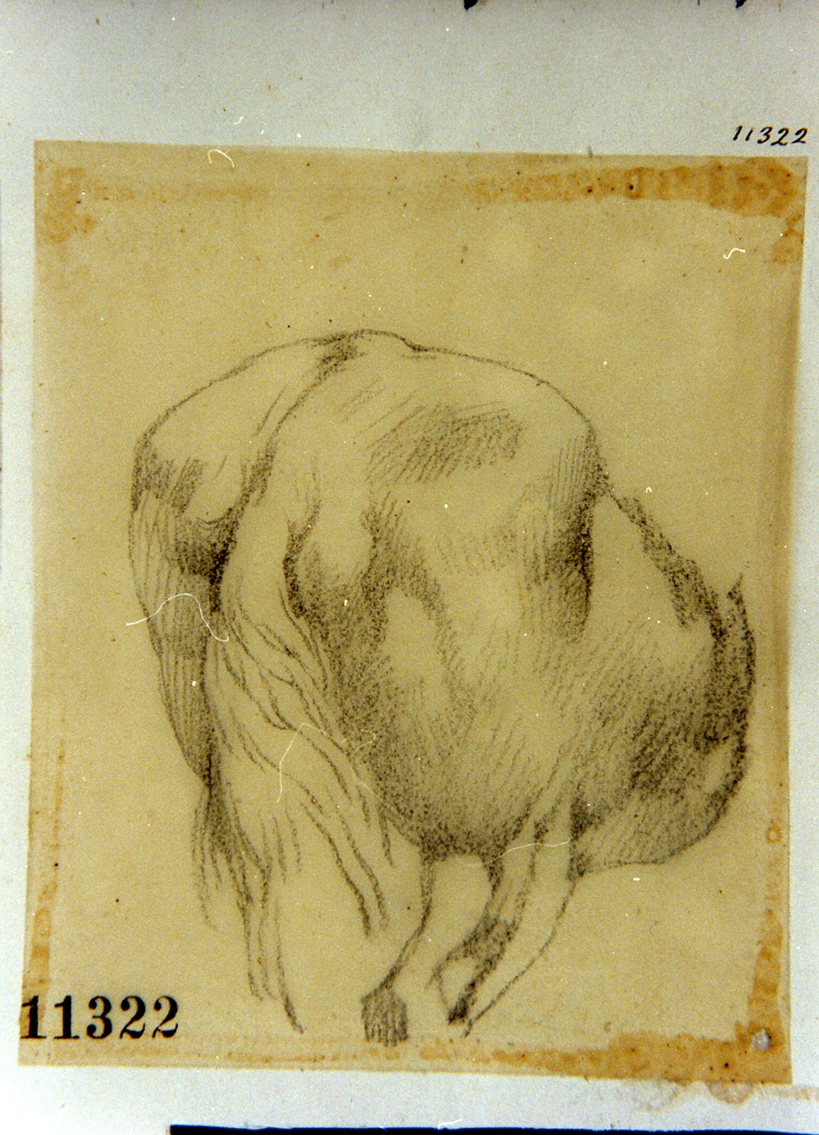 studio di terga di cavallo (disegno) di Palizzi Filippo (sec. XIX)