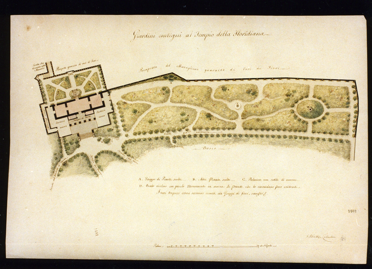 pianta dei giardini (disegno) di Niccolini Antonio (prima metà sec. XIX)