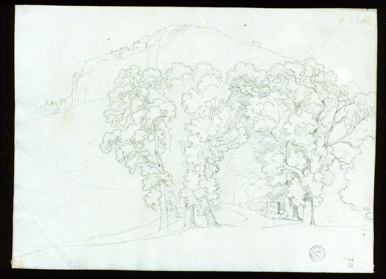 viale alberato (disegno) di Vianelli Achille (prima metà sec. XIX)