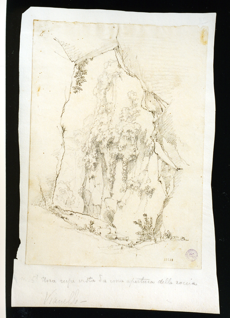 rupe con vegetazione (disegno) di Vianelli Achille (prima metà sec. XIX)