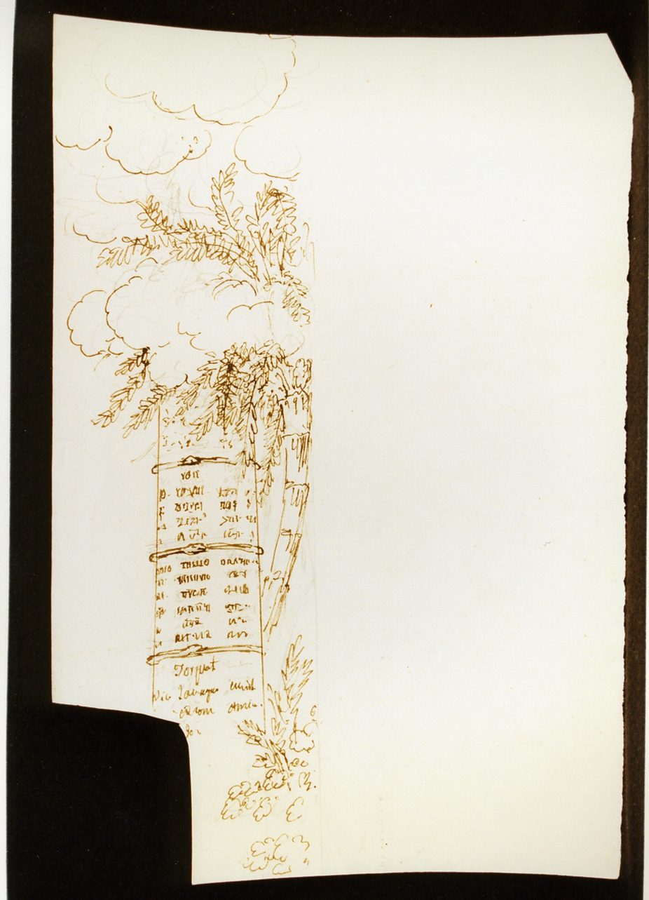 schizzo per colonna (disegno) di Niccolini Antonio (scuola) (sec. XIX)