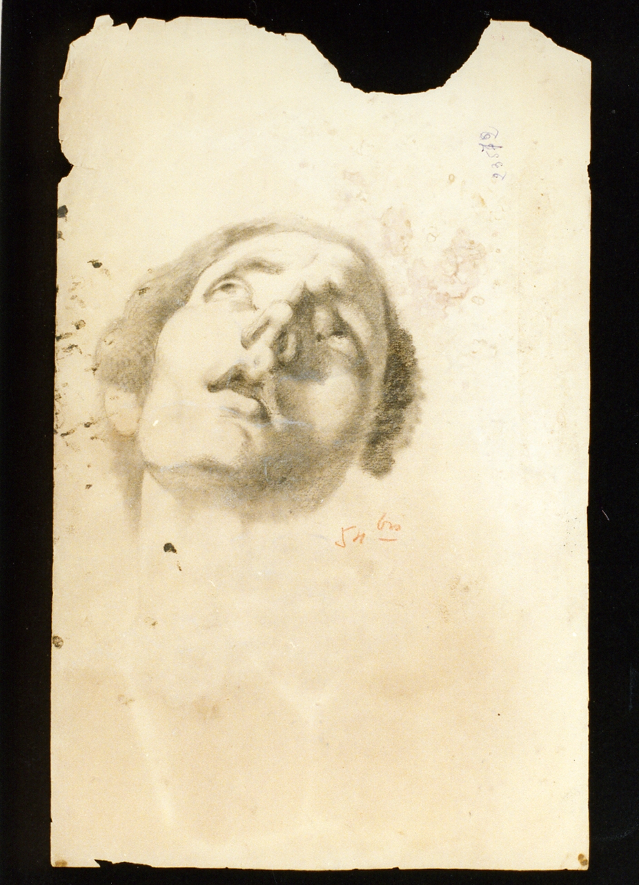 studio di volto (disegno) di De Vivo Tommaso (sec. XIX)