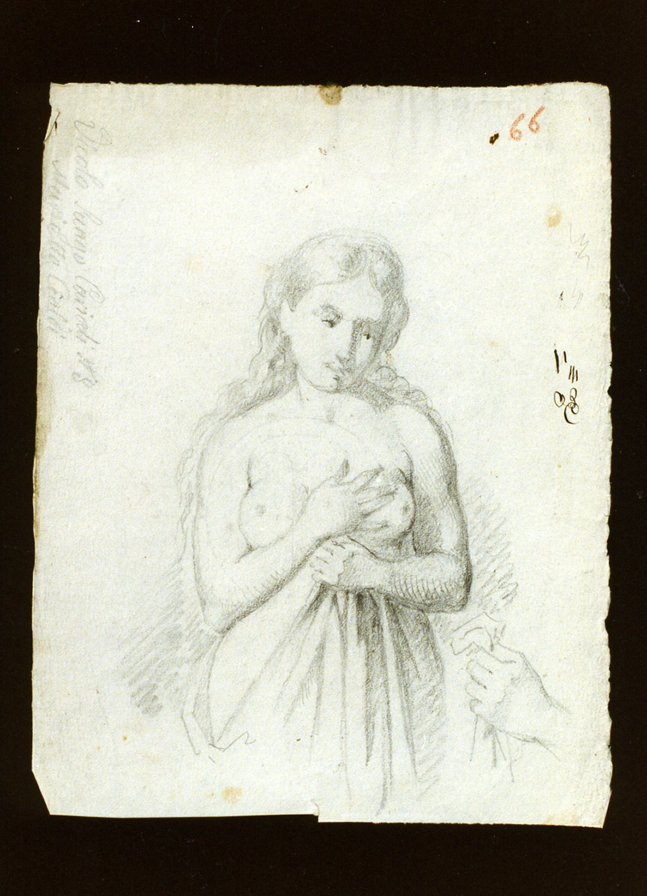 figura femminile a mezza figura (disegno) di De Vivo Tommaso (sec. XIX)