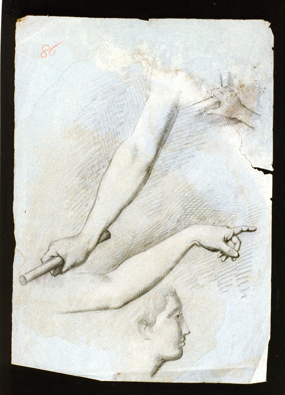 studio di braccia e volto (disegno) di De Vivo Tommaso (sec. XIX)