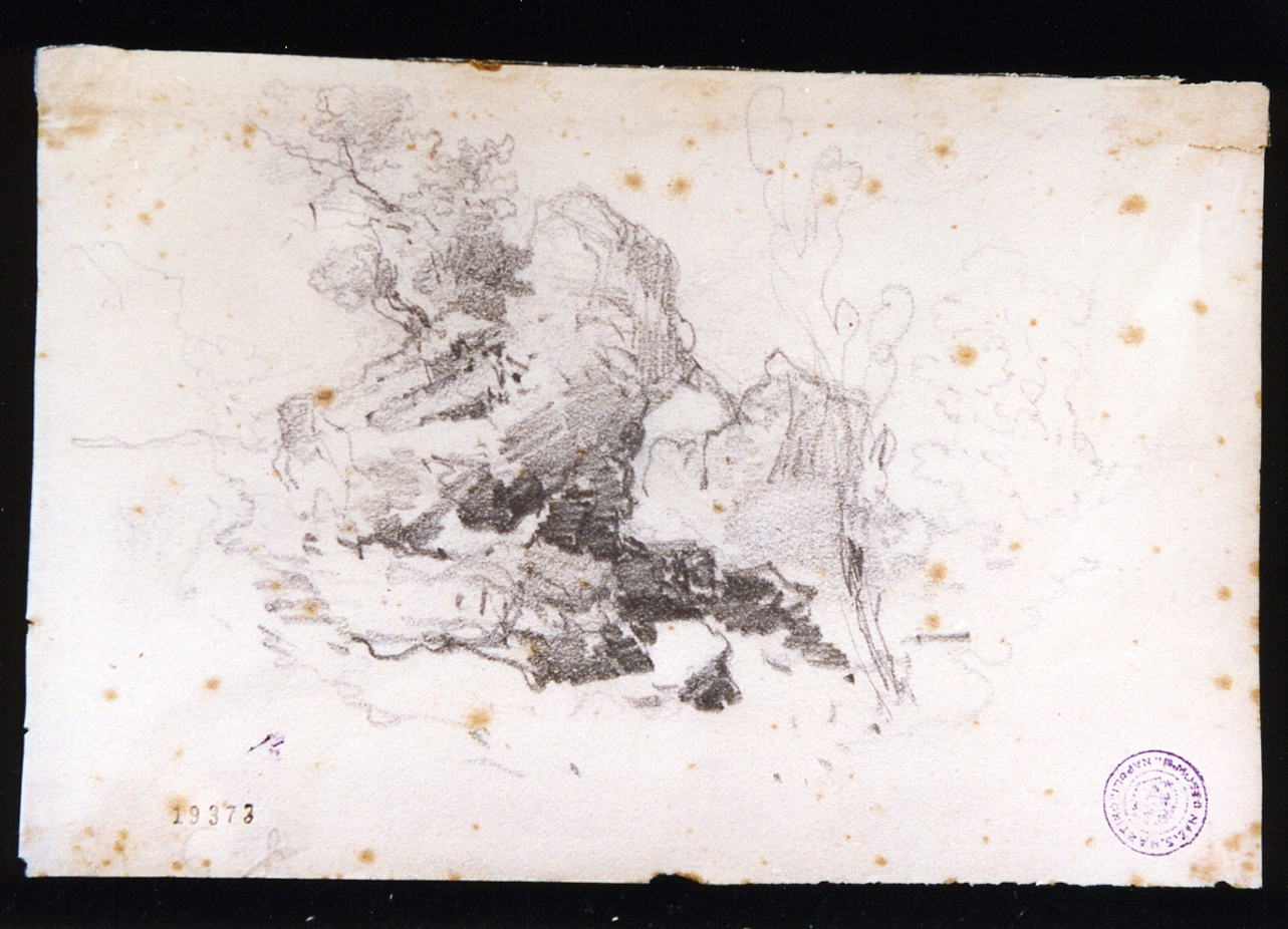 studio di rocce e vegetazione (disegno) di Lanza Giovanni Giordano (sec. XIX)