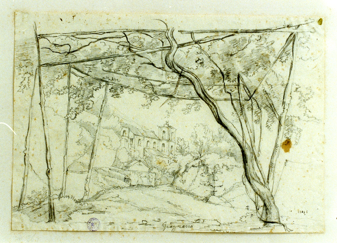studio di pergolato a Gragnano (disegno) di Gigante Giacinto (sec. XIX)