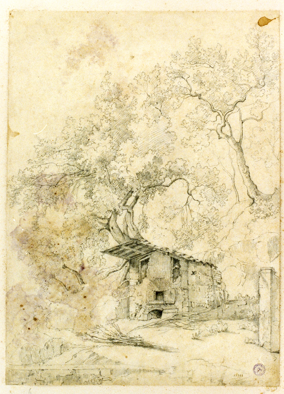 studio di casa rustica tra gli alberi (disegno) - ambito napoletano (sec. XIX)