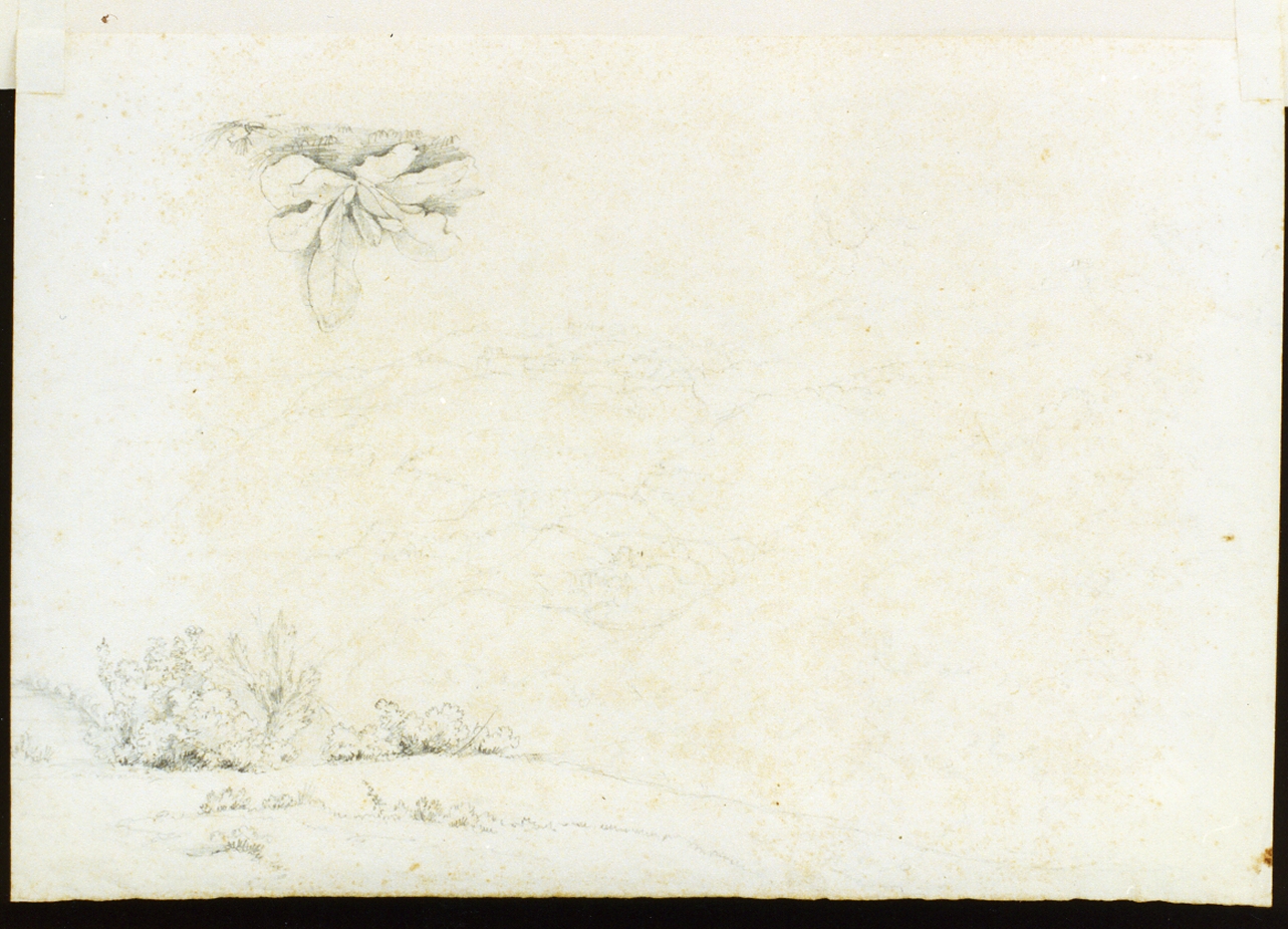 studio di veduta di paese e di agave (disegno) - ambito napoletano (sec. XIX)