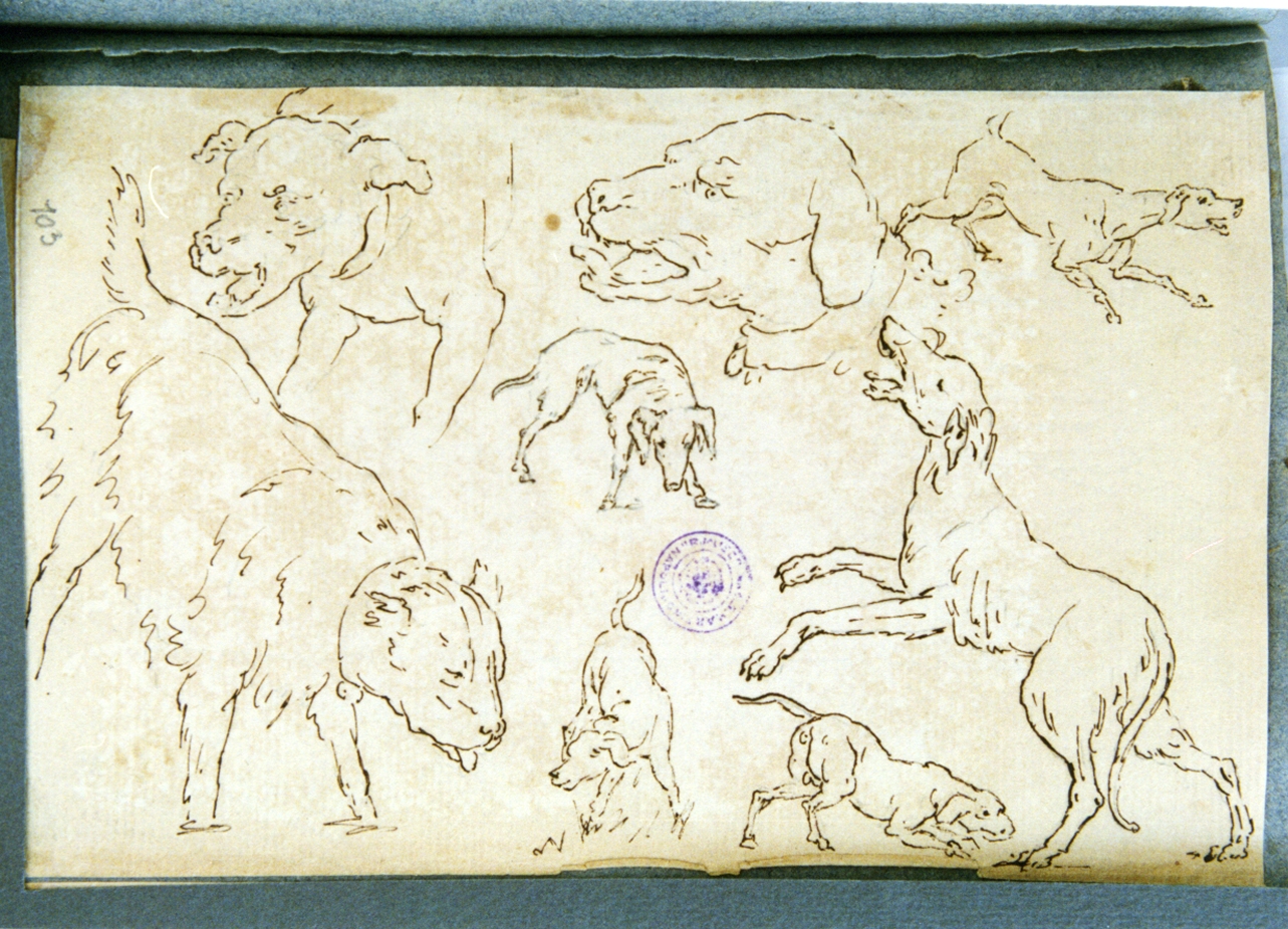 studio di cani (disegno) di Vervloet Frans (secondo quarto sec. XIX)