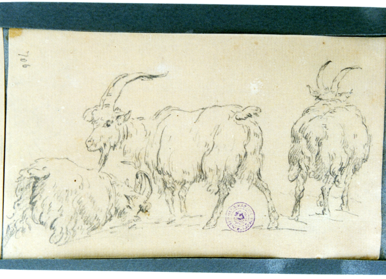 studio di arieti (disegno) di Vervloet Frans (secondo quarto sec. XIX)