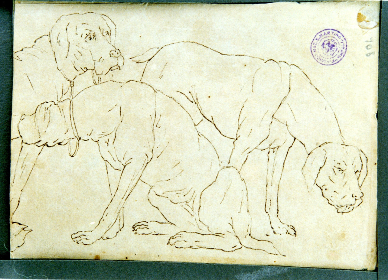 studio di cani (disegno) di Vervloet Frans (secondo quarto sec. XIX)