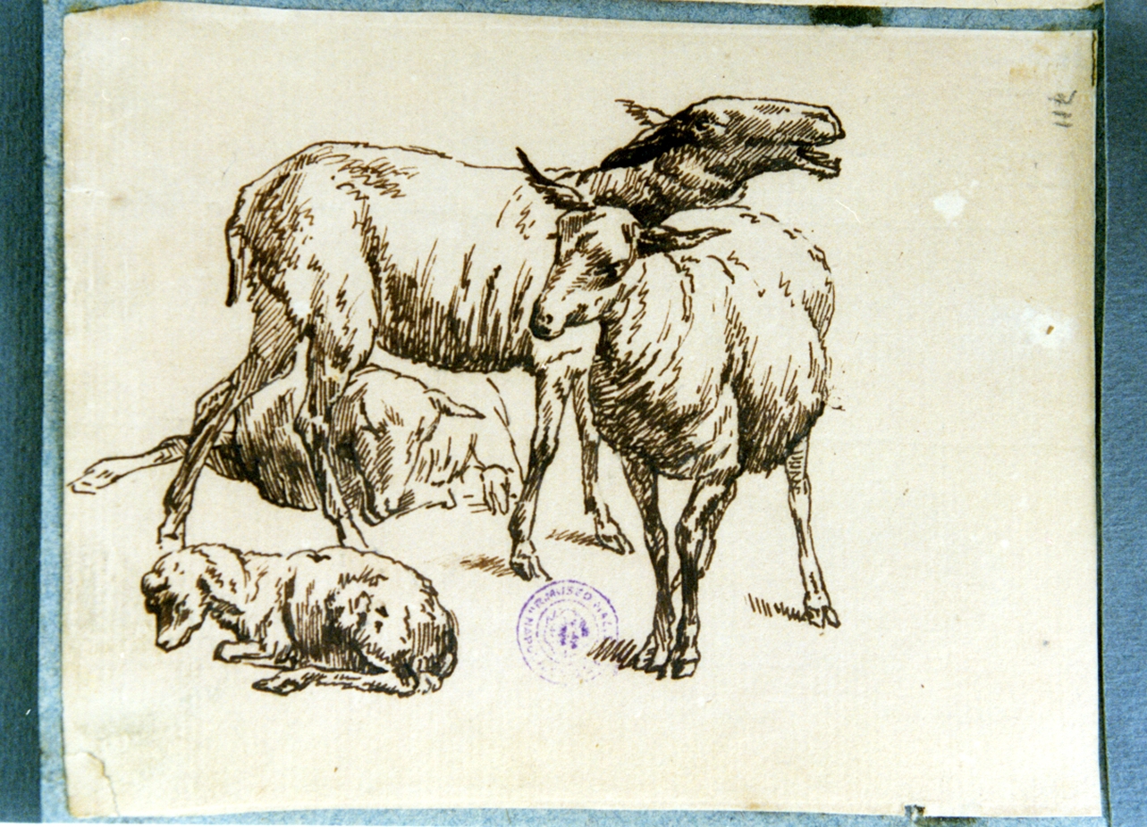 studio di pecore (disegno) di Vervloet Frans (secondo quarto sec. XIX)
