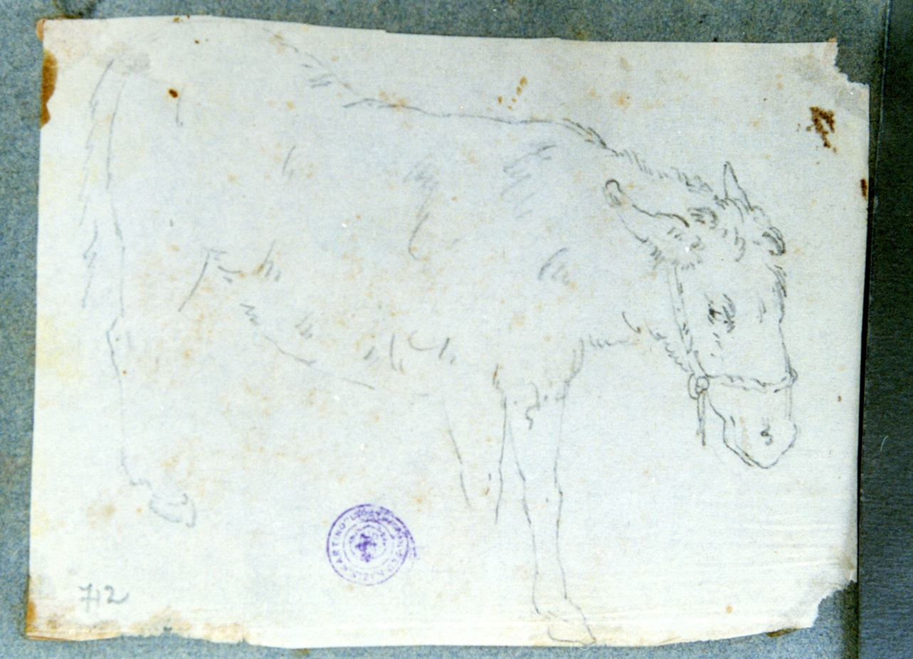 studio di asino (disegno) di Vervloet Frans (secondo quarto sec. XIX)