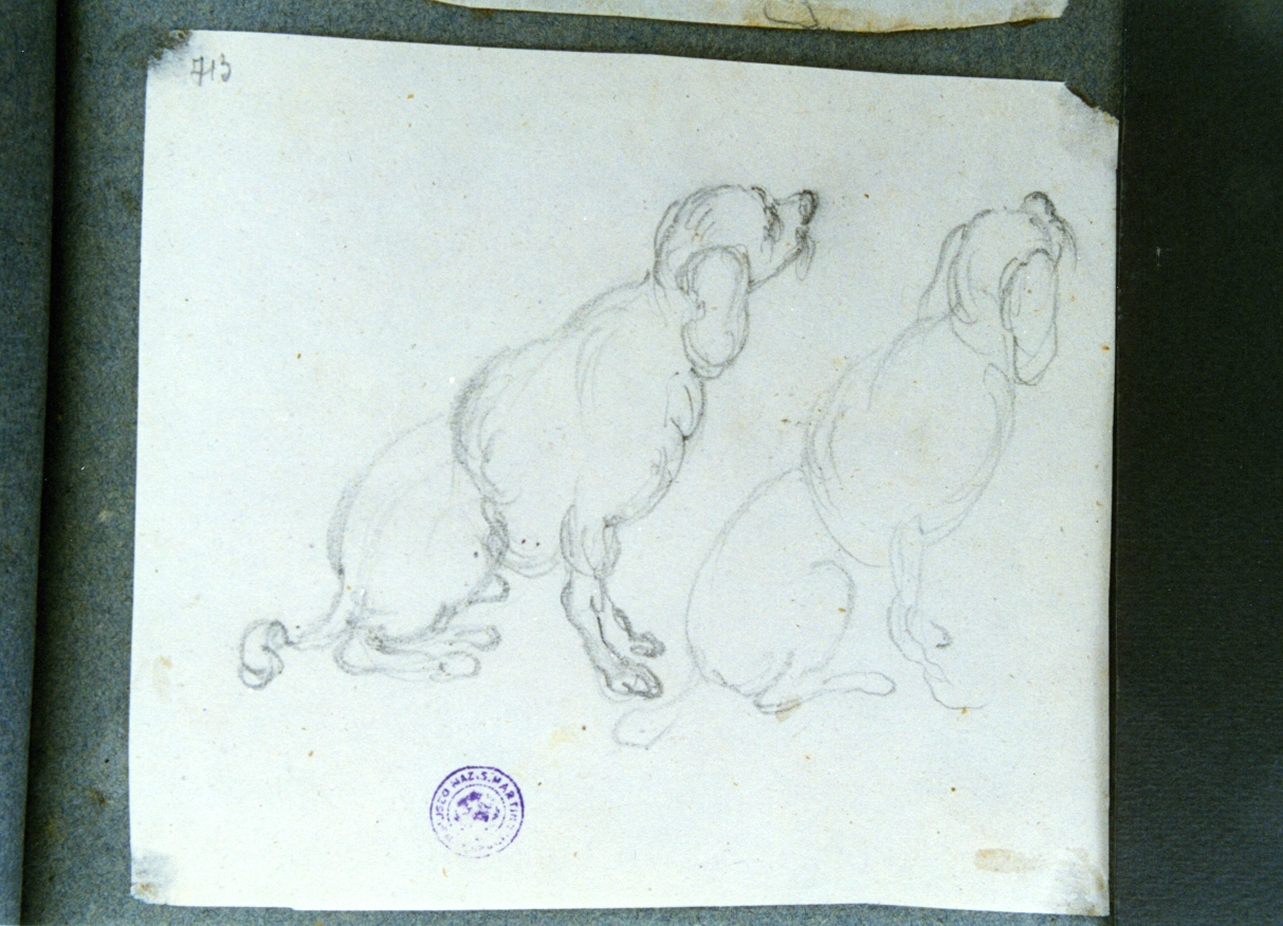 studio di cani (disegno) di Vervloet Frans (secondo quarto sec. XIX)