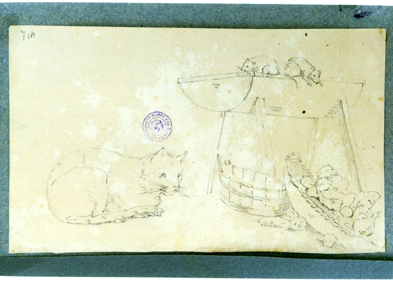 studio di gatto e due topi (disegno) di Vervloet Frans (secondo quarto sec. XIX)