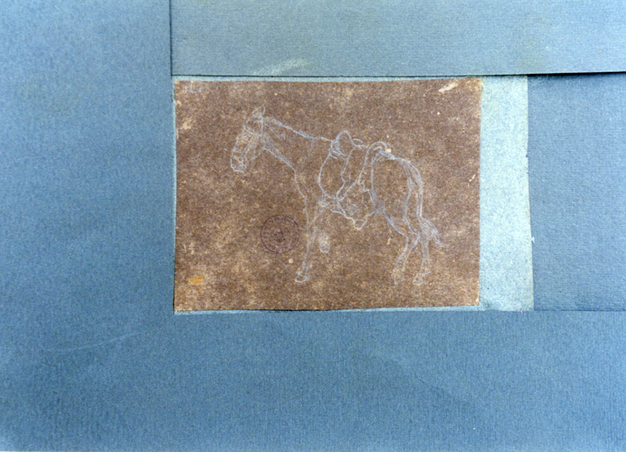 studio di asino (disegno) di Vervloet Frans (secondo quarto sec. XIX)