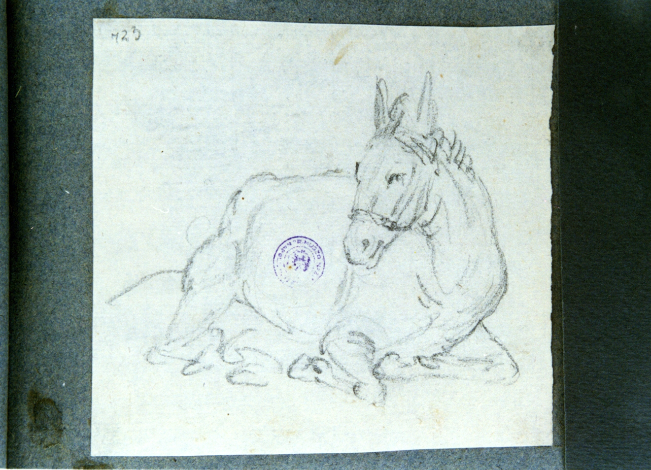 studio di asino accovacciato (disegno) di Vervloet Frans (secondo quarto sec. XIX)