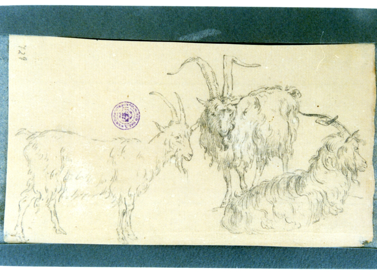 studio di arieti (disegno) di Vervloet Frans (secondo quarto sec. XIX)