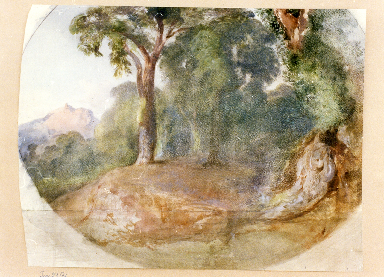 studio di bosco (disegno) di Gigante Giacinto (metà sec. XIX)