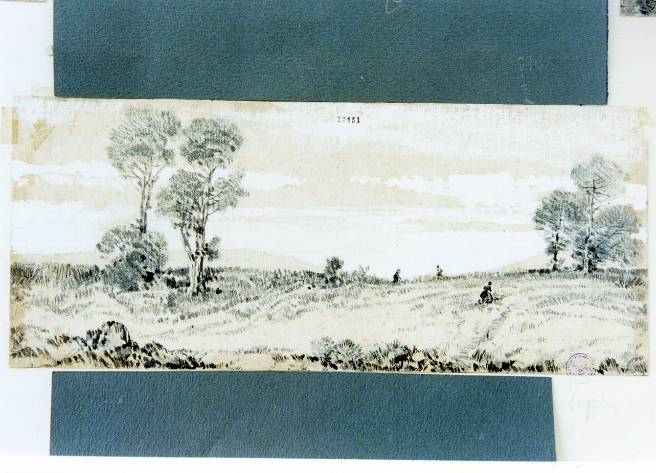 studio di paesaggio campestre (disegno) di Carrillo Achille (sec. XIX)
