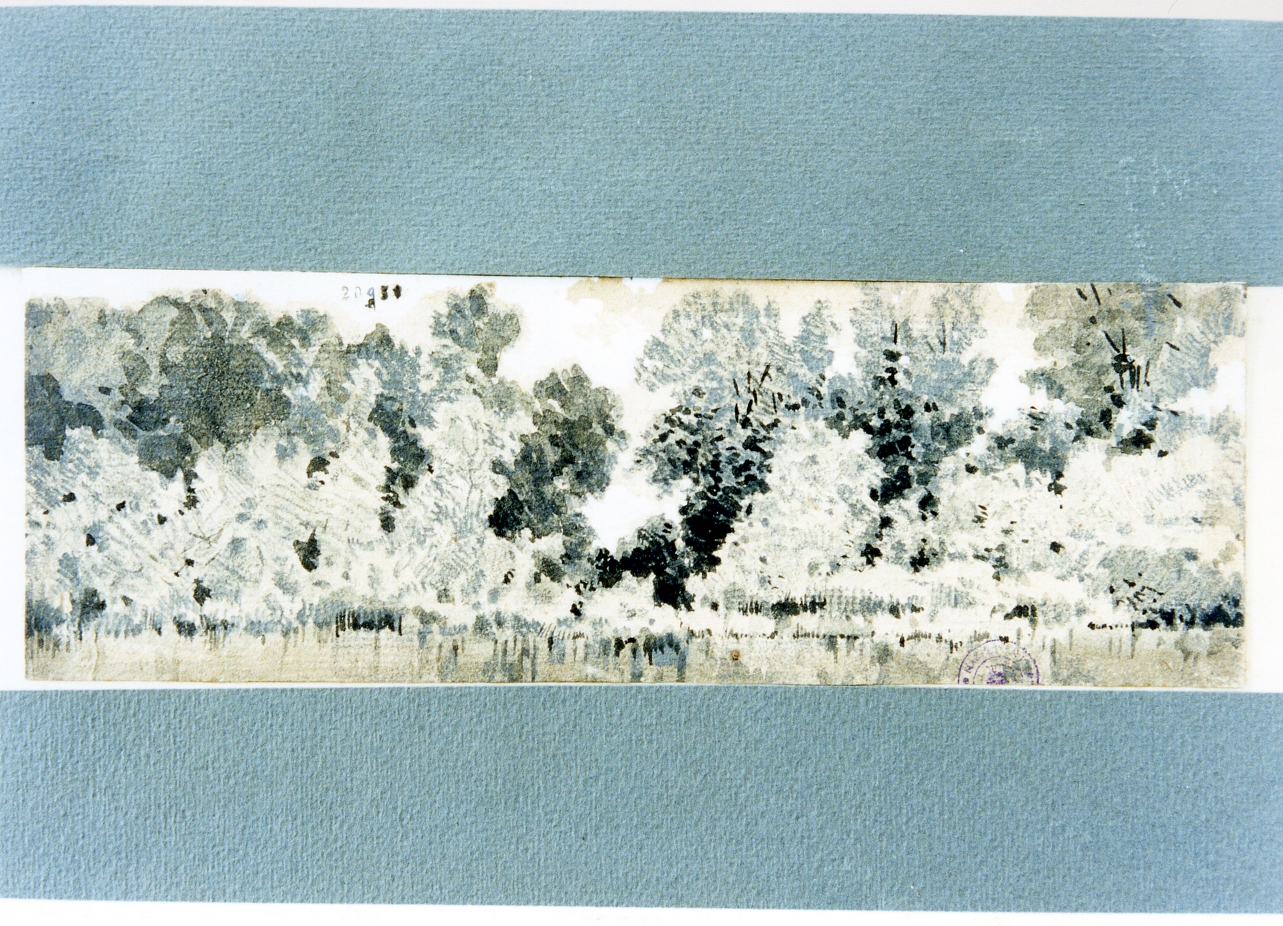 studio di alberi sulla riva di un lago (disegno) di Carrillo Achille (sec. XIX)